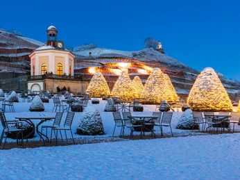 Schloss Wackerbarth.jpg Wein & Licht auf Schloss Wackerbarth