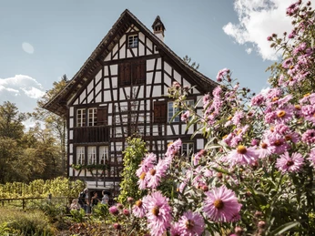 Freilichtmuseum Ballenberg