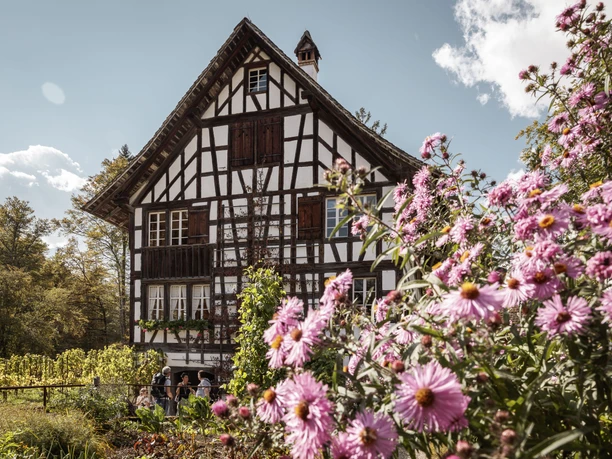 Freilichtmuseum Ballenberg Freilichtmuseum Ballenberg