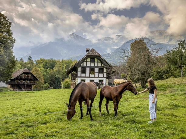 Tiere, Handwerk und Häuser, Ballenberg im Herbst 2020