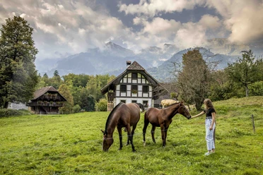 Ballenberg_Nidwald_Brienz Tiere, Handwerk und Häuser, Ballenberg im Herbst 2020