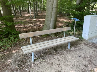 Holzbank im lichten Wald mit Infotafel daneben, eingebettet in blättrige Umgebung und Waldboden.