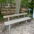 Ruhebank Brockhagen.jpeg Holzbank im lichten Wald mit Infotafel daneben, eingebettet in blättrige Umgebung und Waldboden.