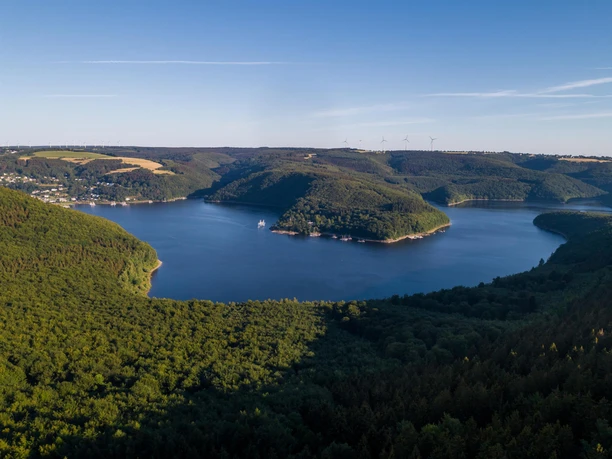 Blick auf den Rursee im Nationalpark Eifel