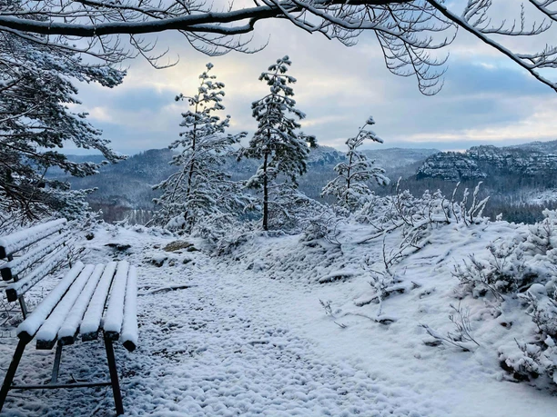 Großstein Bank im Winter Verschneite Landschaft mit einer Bank im Vordergrund, umgeben von schneebedeckten Bäumen und einem bewölkten Himmel im Hintergrund.