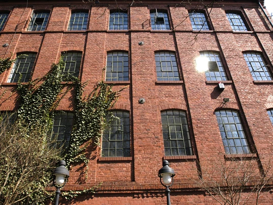 Fassade eines Backsteingebäudes mit vertikalem Efeubewuchs und vielen Sprossenfenstern.