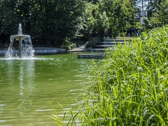 Waldbad 2 Grüne Parklandschaft mit einem zentralen Springbrunnen am Teich, umgeben von üppiger Vegetation.