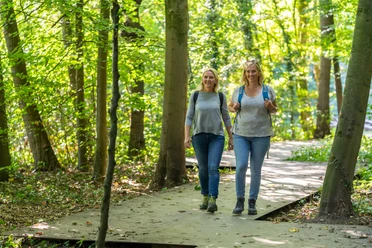 steinhagen-buergerpark-teutoburger-wald-tourismus-patrick-gawandtka-026-jpg.jpg Zwei Frauen wandern fröhlich auf einem Waldweg, umgeben von grünen Bäumen und strahlendem Sonnenschein.