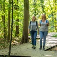 steinhagen-buergerpark-teutoburger-wald-tourismus-patrick-gawandtka-026-jpg.jpg Zwei Frauen wandern fröhlich auf einem Waldweg, umgeben von grünen Bäumen und strahlendem Sonnenschein.