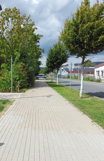 Bunsenstraße Gepflasterter Gehweg entlang einer Straße, umgeben von Bäumen und Sträuchern, bei bewölktem Himmel.