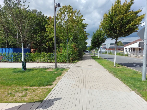 Bunsenstraße Gepflasterter Gehweg entlang einer Straße, umgeben von Bäumen und Sträuchern, bei bewölktem Himmel.
