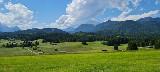 Buckelwiesen