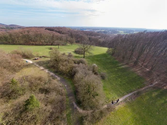 Luftaufnahme eines weitläufigen Parks mit Spazierwegen, Bäumen und Menschen im Frühling.