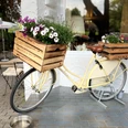 Restaurant Wohnzimmer Neviges Ein vintage gelbes Fahrrad, dekoriert mit blühenden Holzblumenkästen, lehnt an einer weißen Wand.