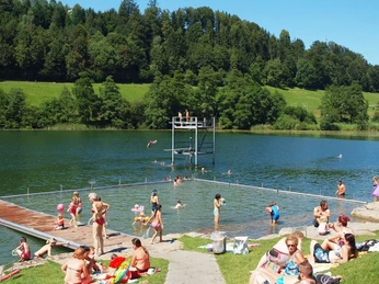 Rotsee Badi lakeside swimming pool View of the diving tower at the Rotsee lido