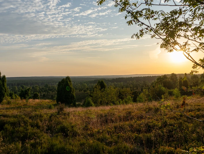 Wilseder Berg im Juli Wilseder Berg im SonnenaufgangWilseder Berg at sunriseWilseder Berg ved solopgangWilseder Berg bij zonsopgang