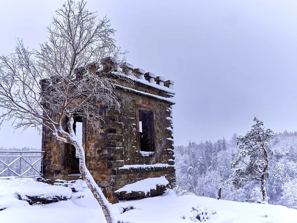 A snow-covered, old stone tower stands next to a bare tree, surrounded by a wintry forest under a gray sky.