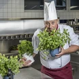 DSCF6525 Küche final.jpg Ein Koch in Uniform präsentiert stolz frische Kräutertöpfe in einer modernen Edelstahlküche.
