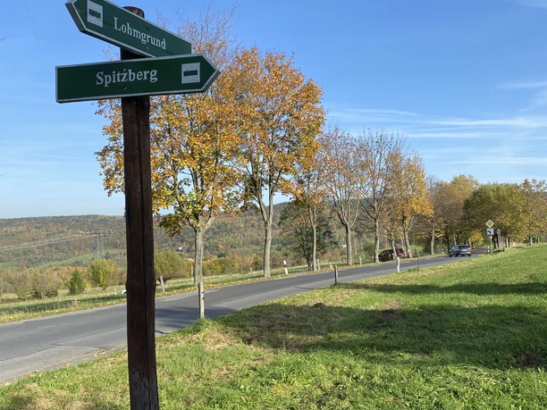 Path to the Cotta Spitzberg Signpost in front of autumnal trees points to "Lohngrund" and "Spitzberg" on a country road under a clear blue sky.