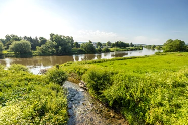 Hoexter-Weser-Stadt Hoexter-D. Ketz-2023-245.jpg Kleiner Bach fließt in Weser