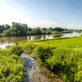Hoexter-Weser-Stadt Hoexter-D. Ketz-2023-245.jpg Kleiner Bach fließt in Weser