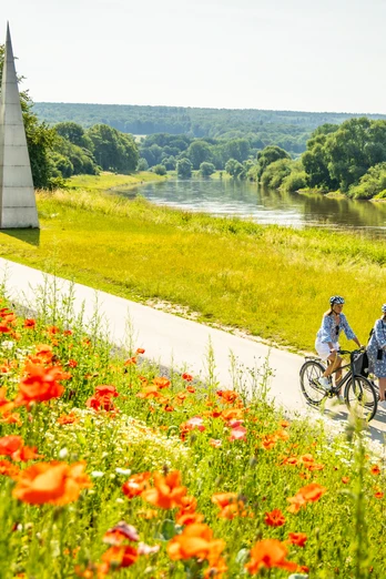 Hoexter-Weserradweg-Stadt Hoexter-D. Ketz-2023-312.jpg Zwei Radfahrer fahren auf einem Weg entlang des Flusses, umgeben von blühenden Mohnblumen und grünen Wiesen.