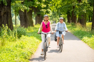 Hoexter-Landesgartenschaugelände Weserradweg-Stadt Hoexter-D. Ketz-2023-423.jpg Zwei Frauen genießen eine Radtour durch eine schöne, dicht bewachsene Eichenallee