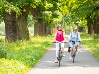 Zwei Frauen fahren mit dem Fahrrad durch eine schöne Eichenallee