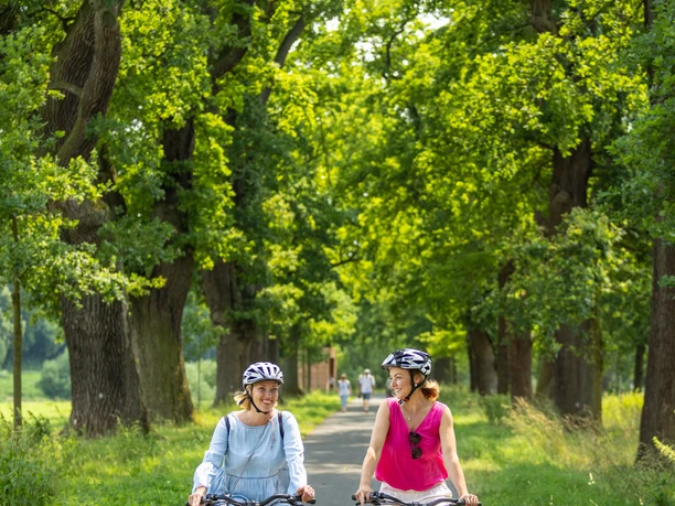 Hoexter-Landesgartenschaugelände Weserradweg-Stadt Hoexter-D. Ketz-2023-420.jpg Zwei Frauen radeln durch eine herrliche Eichenallee