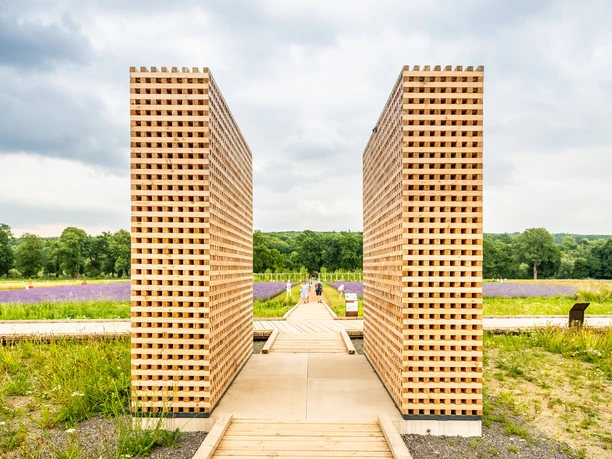 Hoexter-Landesgartenschaugelände Archeologiepark-Stadt Hoexter-D. Ketz-2023-373.jpg Holztor eines Archäologieparks in Höxter, flankiert von Blumenfeldern und bewaldeter Hintergrundlandschaft.