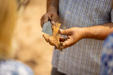 Eine Person hält ein archäologisches Artefakt aus Erde in den Händen, untersucht es mit einem Werkzeug.