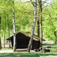 Eine einfache Holzhütte steht in einem lichten Wald, umgeben von grünen Birken und Picknicktischen.