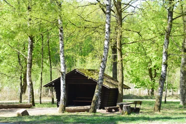 Wandern Birkenhütte(C)Stadt.JPG Eine einfache Holzhütte steht in einem lichten Wald, umgeben von grünen Birken und Picknicktischen.