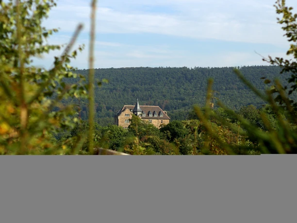 IMG_7665.CR2©Korol.jpg Ein Schloss mit spitzen Türmen umgeben von dichter Vegetation vor bewaldeten Hügeln im Hintergrund.