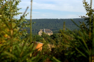 IMG_7665.CR2©Korol.jpg Ein historisches Gebäude thront umgeben von bewaldeten Hügeln in einer ruhigen, bewachsenen Landschaft.