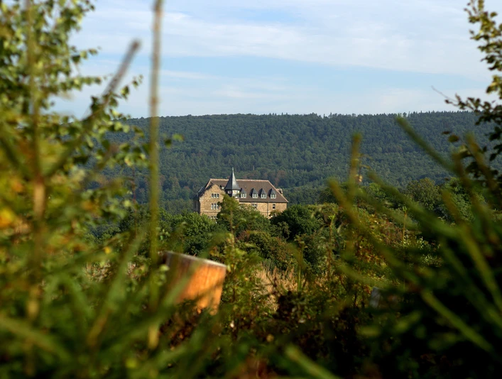 IMG_7665.CR2©Korol.jpg Ein historisches Gebäude thront umgeben von bewaldeten Hügeln in einer ruhigen, bewachsenen Landschaft.