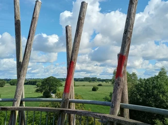 Ausblick vom Aussichtsturm Linteler Weiden