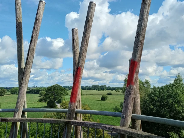 Ausblick vom Aussichtsturm Linteler Weiden