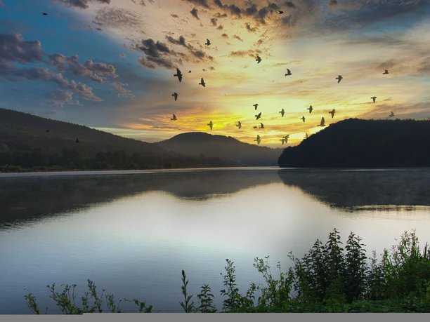 SchiederSee©Furmanski.jpg Sonnenuntergang über einem ruhigen See mit fliegenden Vögeln und bewaldeten Hügeln im Hintergrund.