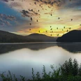 Sonnenuntergang am SchiederSee mit Vogelgruppe im Himmel, umrahmt von bewaldeten Hügeln.
