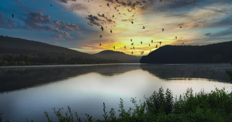 SchiederSee Stimmung Sonnenuntergang am SchiederSee mit Vogelgruppe im Himmel, umrahmt von bewaldeten Hügeln.