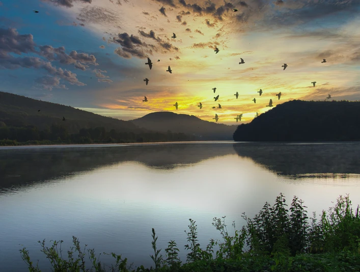 SchiederSee Stimmung Sonnenuntergang am SchiederSee mit Vogelgruppe im Himmel, umrahmt von bewaldeten Hügeln.