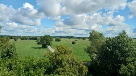 Ausblick in die Linteler Weiden