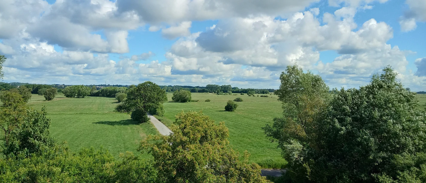 Ausblick in die Linteler Weiden