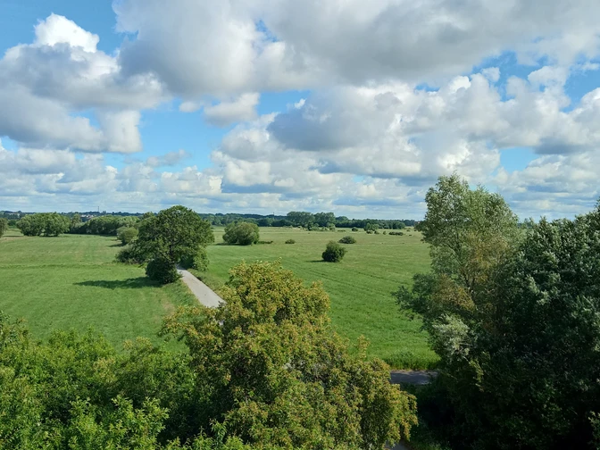 Ausblick in die Linteler Weiden