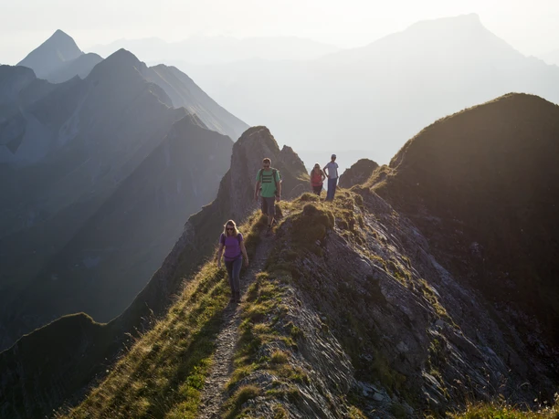 Steinbock Trek