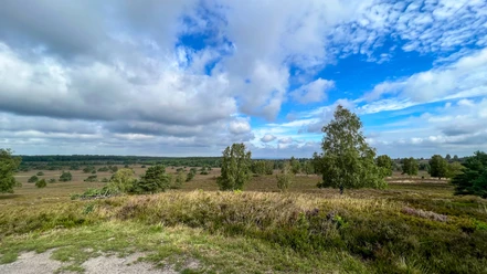 Bolterberg