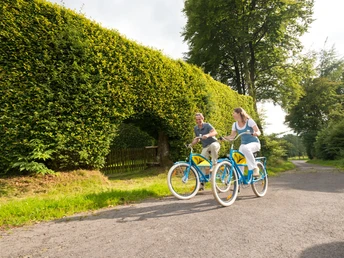 Beeindruckende haushohe Buchenhecken bei Monschau-Kalterherberg