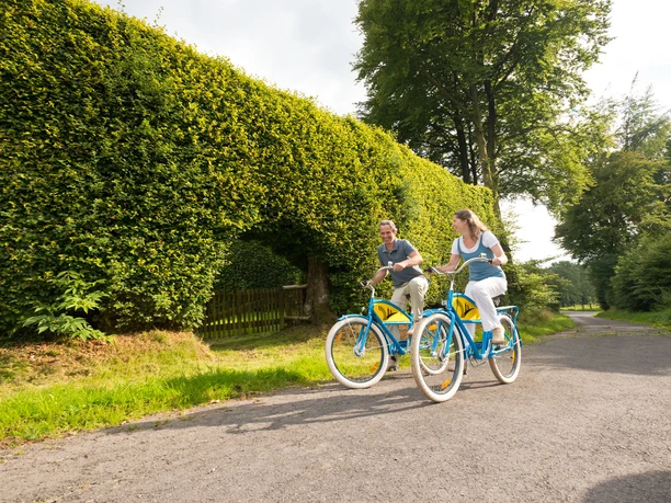 Beeindruckende haushohe Buchenhecken bei Monschau-Kalterherberg