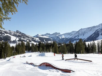 Freestyle-Line Freestyle-Line